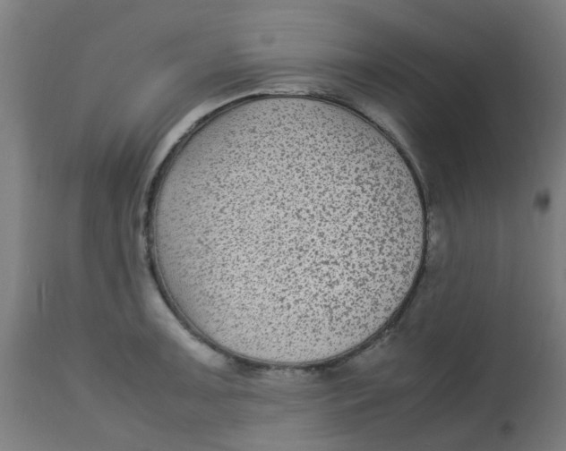 X0000113221091200910081335