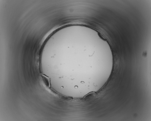 X0000113221092200910081335