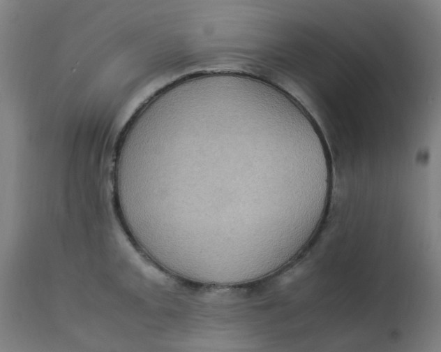 X0000113221093200910081335
