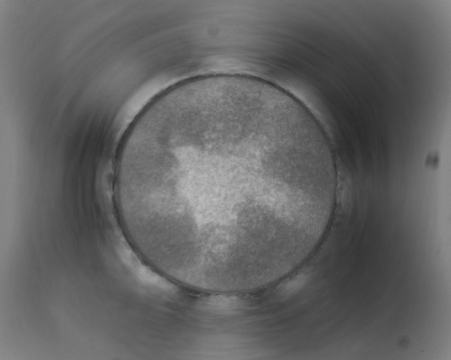 X0000113221094200910081335