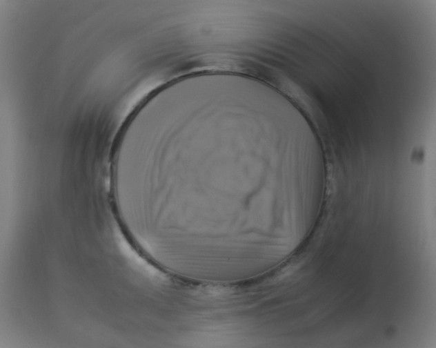 X0000113221095200910081335