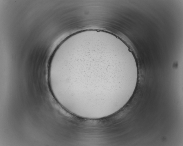 X0000113221096200910081335