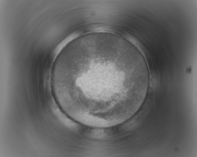 X0000113221098200910081335