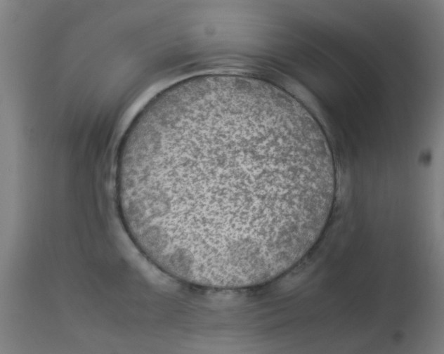 X0000113221099200910081335