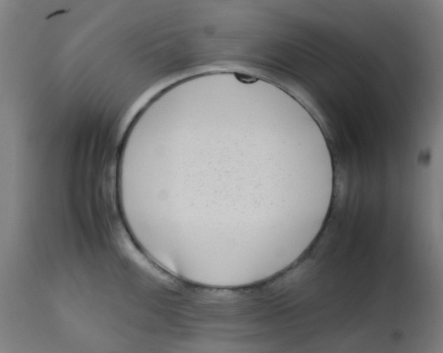 X0000113221100200910081335