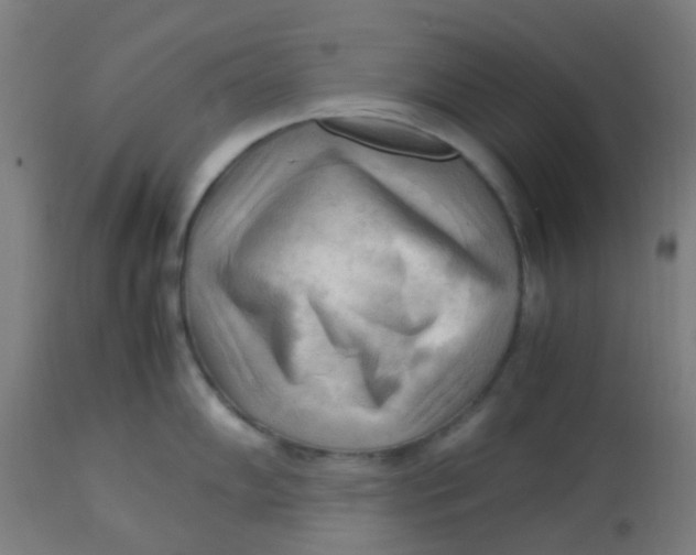 X0000113221102200910081335