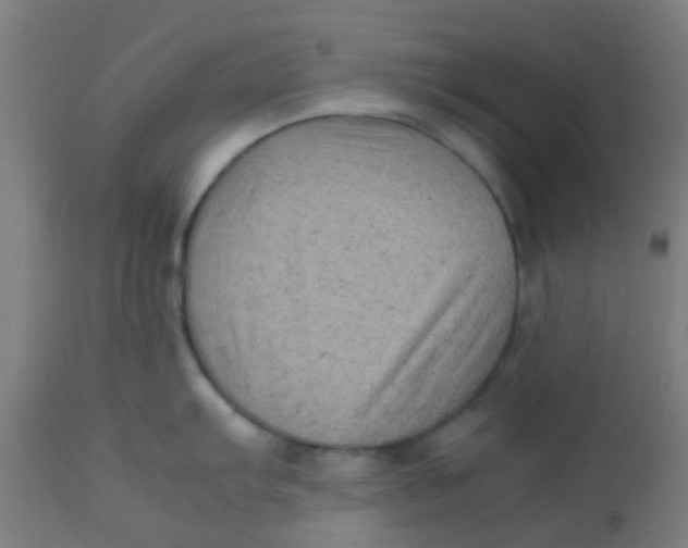 X0000113221103200910081335