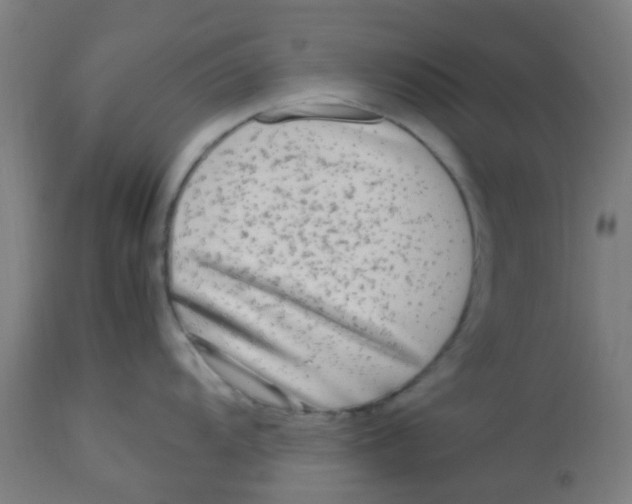 X0000113221104200910081335