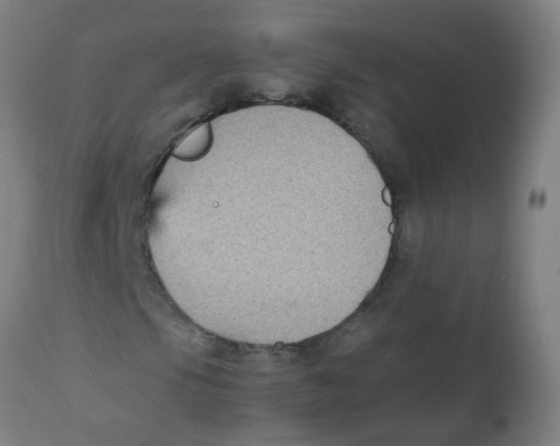X0000113221105200910081334