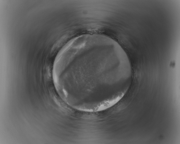 X0000113221106200910081334