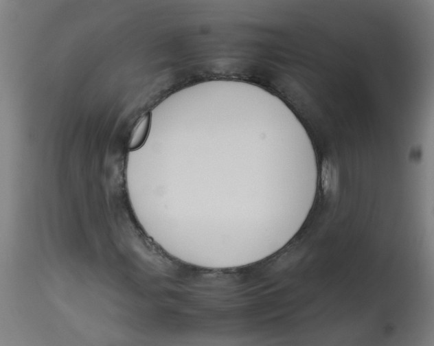 X0000113221107200910081334