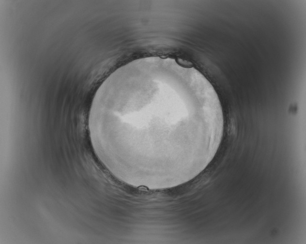 X0000113221108200910081334