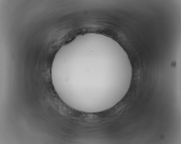 X0000113221109200910081334