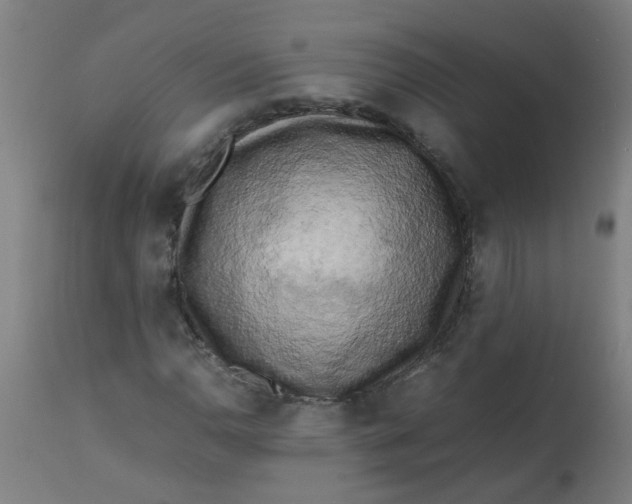 X0000113221110200910081334