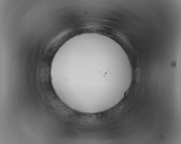 X0000113221111200910081334