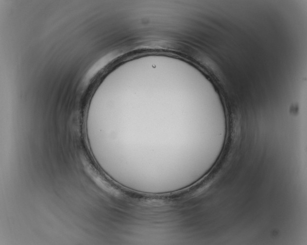 X0000113221114200910081334