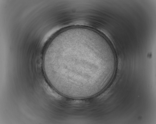 X0000113221115200910081334