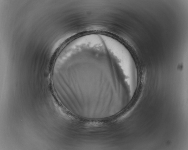 X0000113221117200910081334