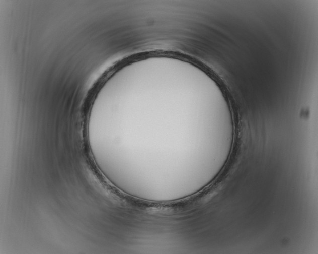X0000113221118200910081334