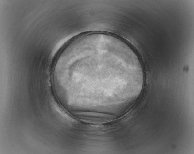 X0000113221120200910081335