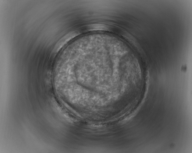 X0000113221121200910081335