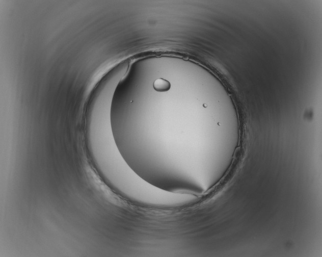X0000113221122200910081335