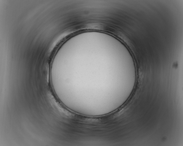 X0000113221123200910081335