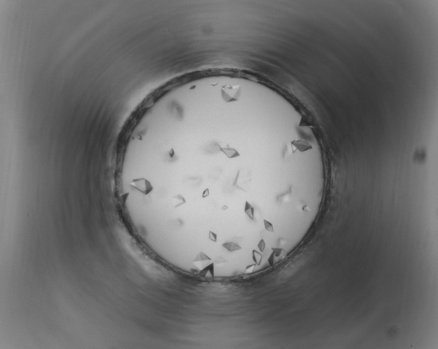 X0000113221124200910081335