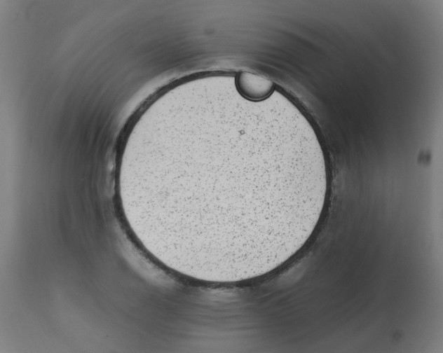 X0000113221126200910081335