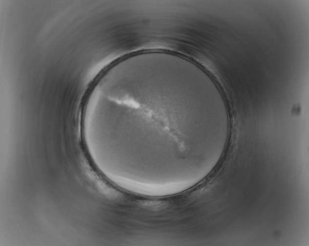 X0000113221127200910081335