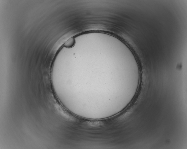 X0000113221129200910081335