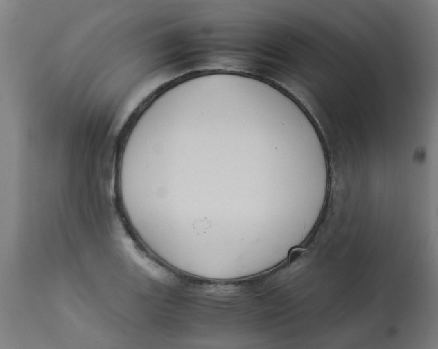 X0000113221131200910081335