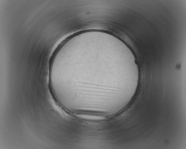 X0000113221132200910081335