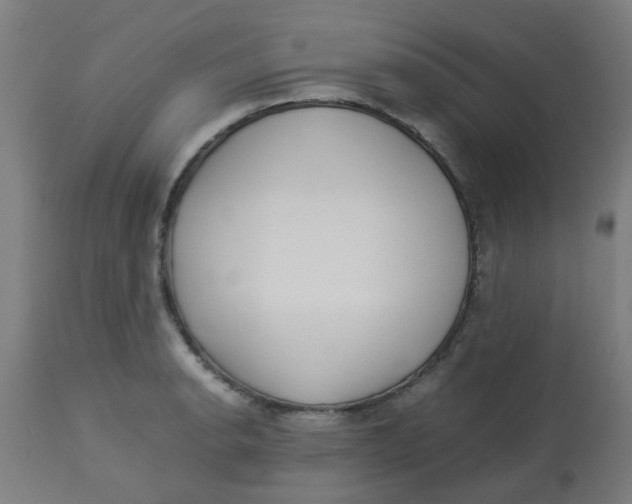 X0000113221134200910081335