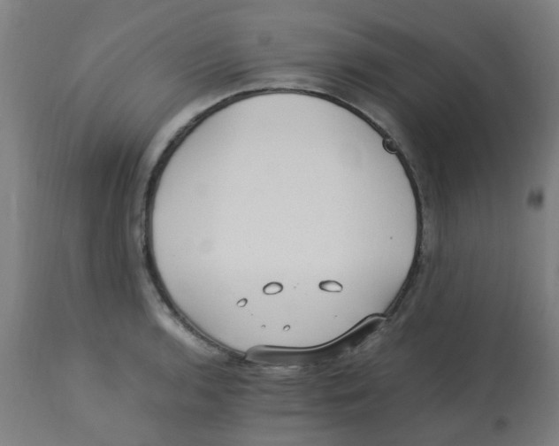 X0000113221136200910081335