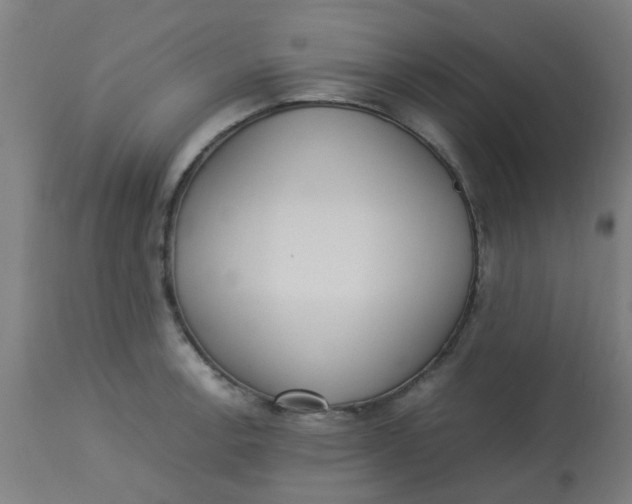 X0000113221138200910081335