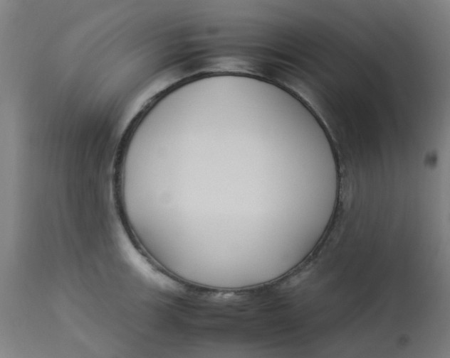 X0000113221139200910081335