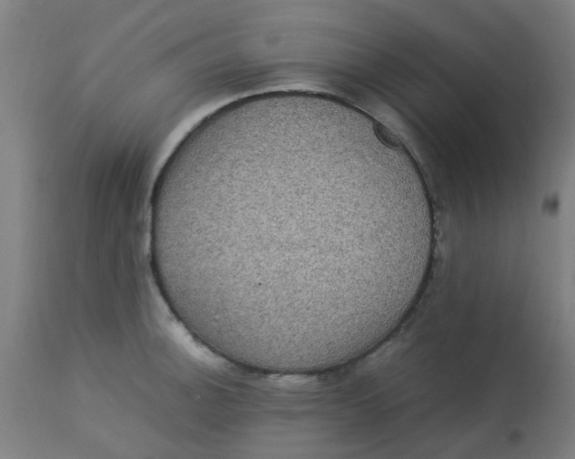 X0000113221140200910081335
