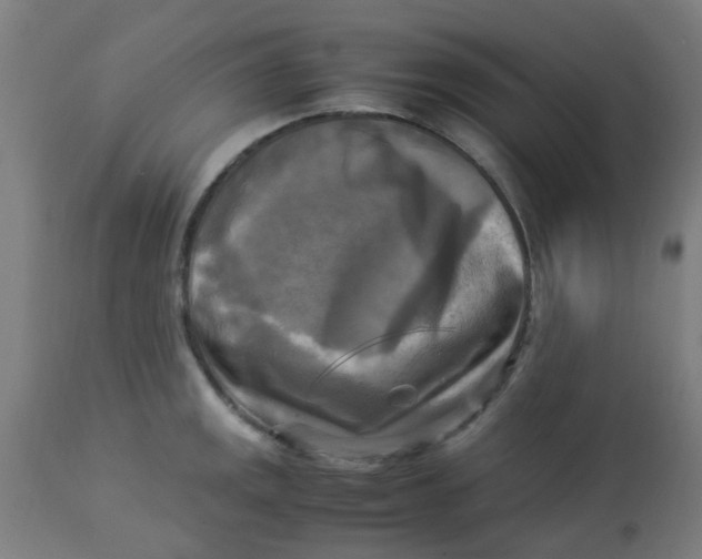 X0000113221141200910081335