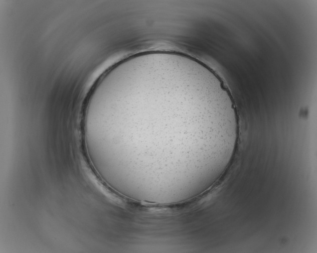 X0000113221142200910081335