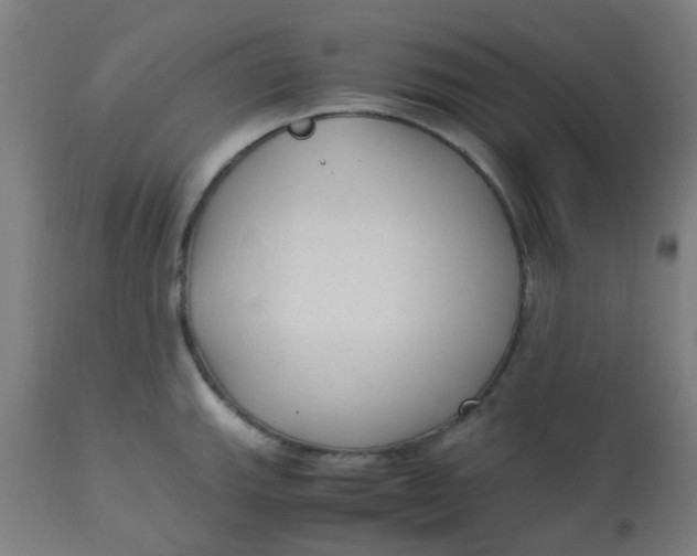 X0000113221143200910081335