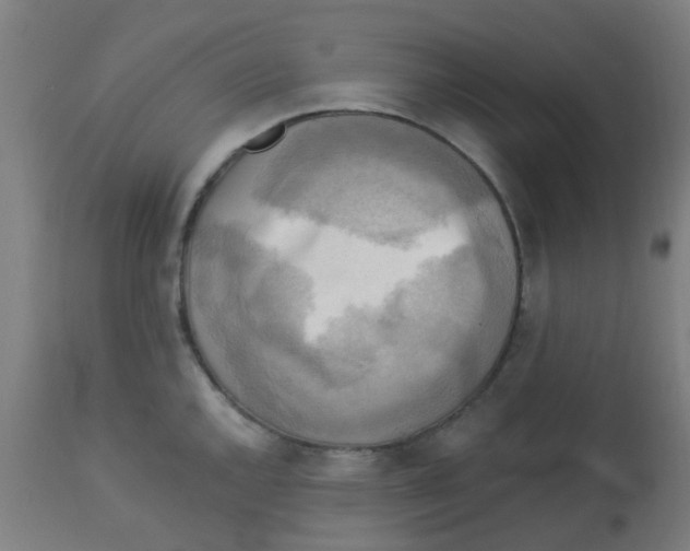 X0000113221144200910081335