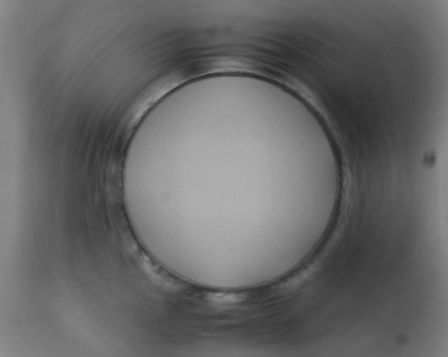 X0000113221145200910081335