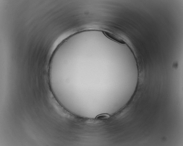 X0000113221146200910081335