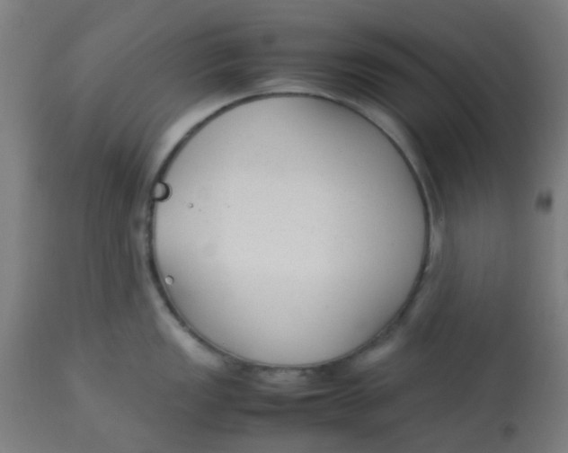 X0000113221149200910081335