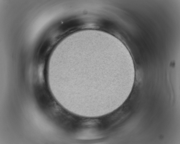 X0000113221150200910081335