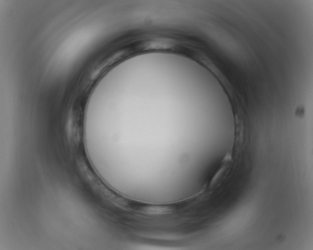 X0000113221151200910081335