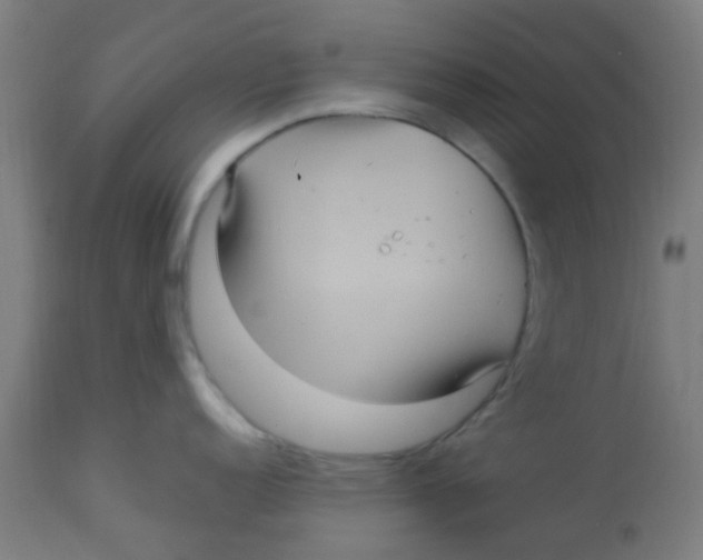 X0000113221152200910081335