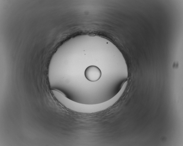 X0000113221153200910081334