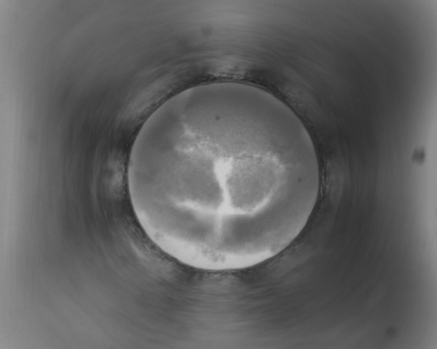 X0000113221154200910081334